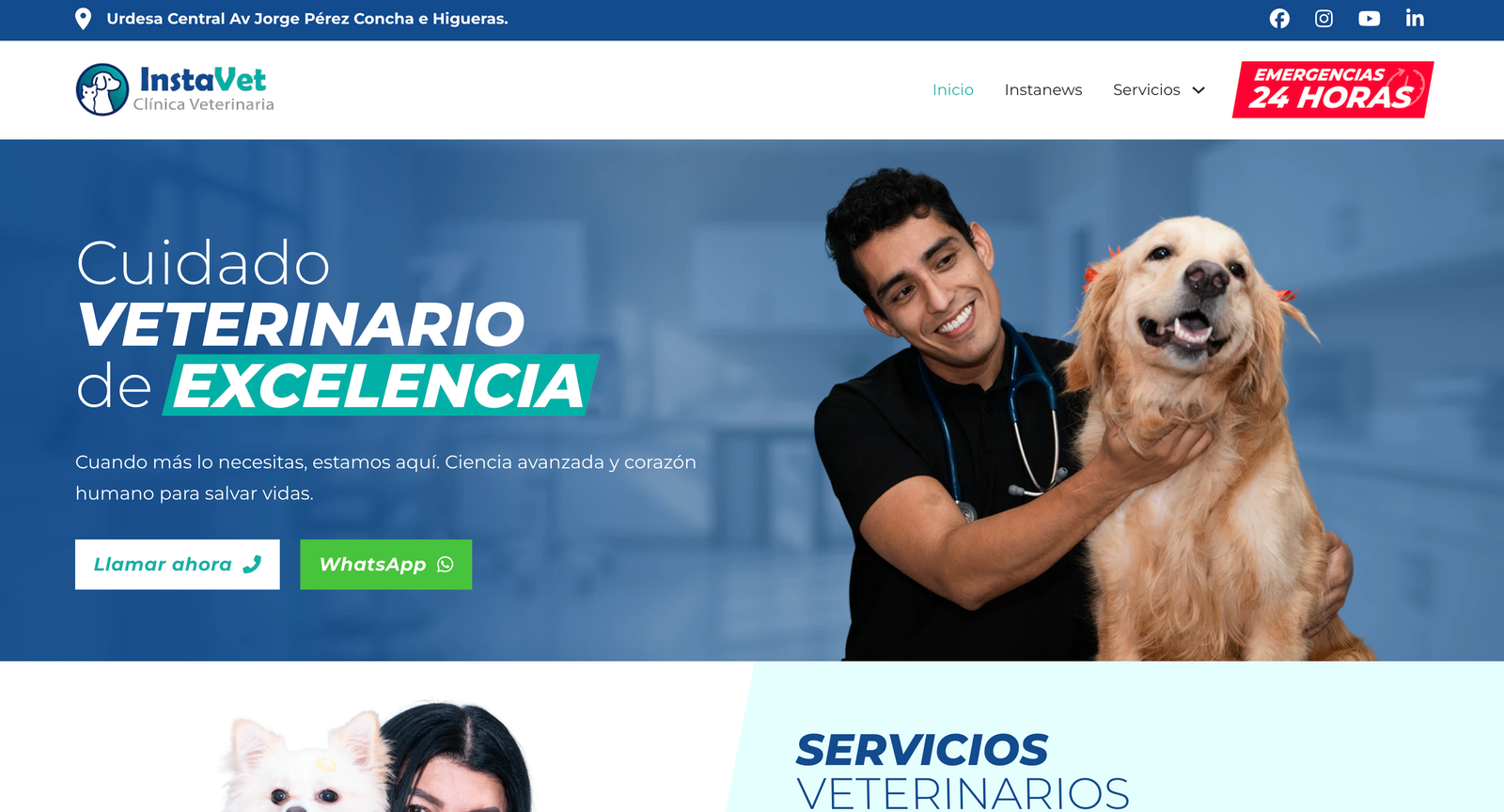 Sitio web InstaVet